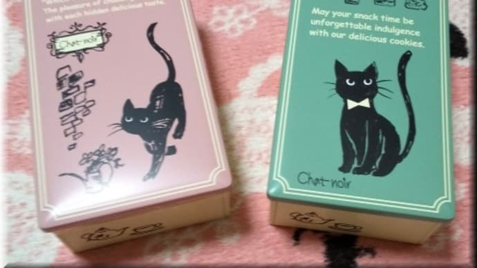 春の猫菓子