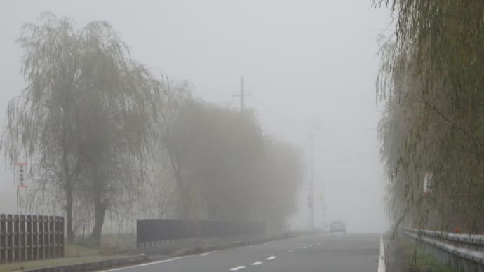 今日『霧の町』にキリが発生していた、、、