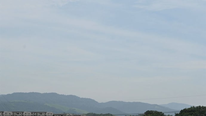 笠の荒神さんでフクオウソウが