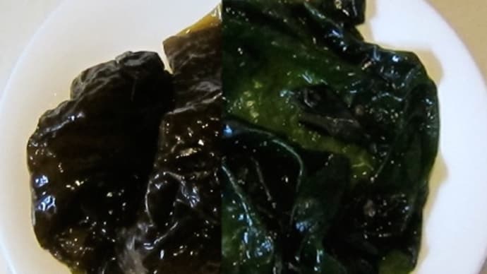 本当の生ワカメ