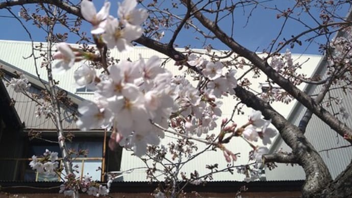 春のお彼岸過ぎて