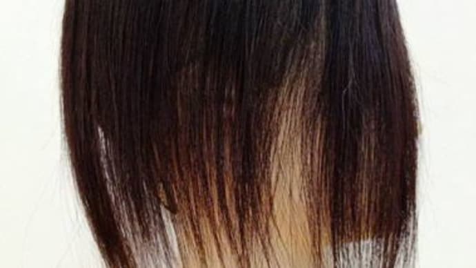 伊那市 ウィッグ 前髪の伸びが遅い ヘアピース