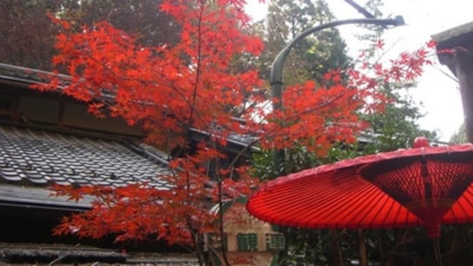 京都妖怪探訪（１５１）：貴船の紅葉２０１１年・その１