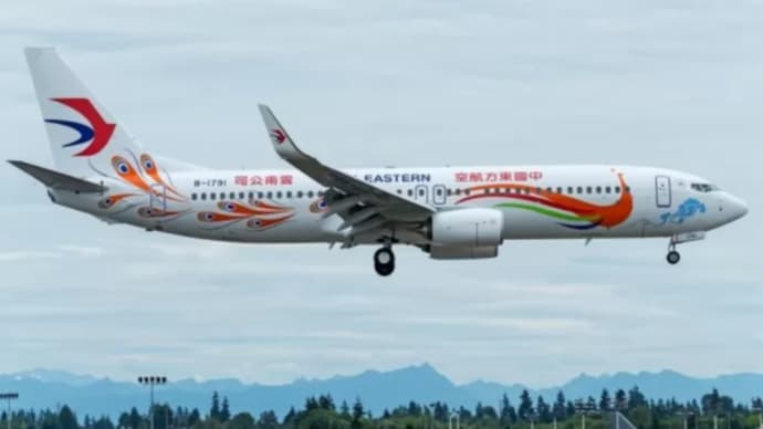 航空機が垂直の墜落・落下する恐怖★中国東方航空ボーイング７３７―８００