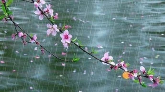 今日は雨水・・・