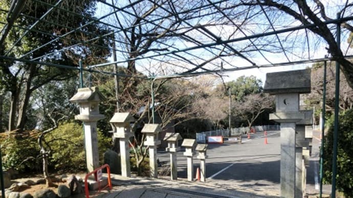 刀の魅力