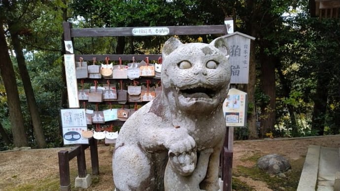 京都府・金刀比羅神社「日本で唯一の狛猫」