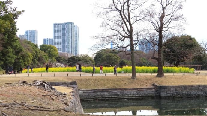 花散歩・都心の花畑