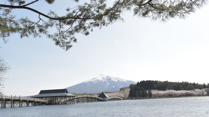 津軽富士見湖の桜と舞橋