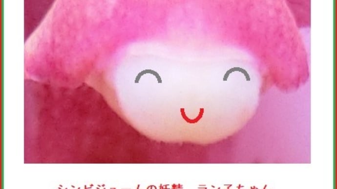 花の妖精・シンビジュームのラン子ちゃん