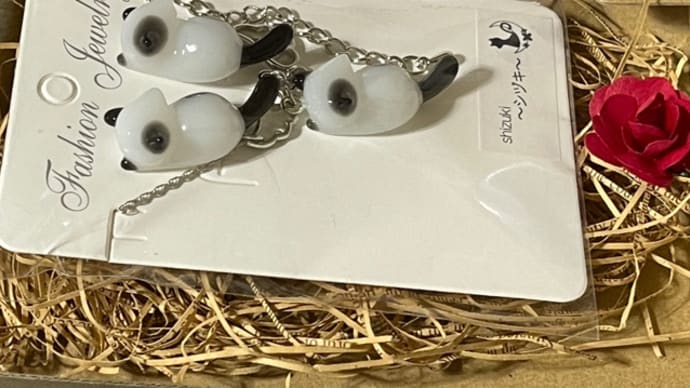 プレゼント企画に当選🎁😆🙌