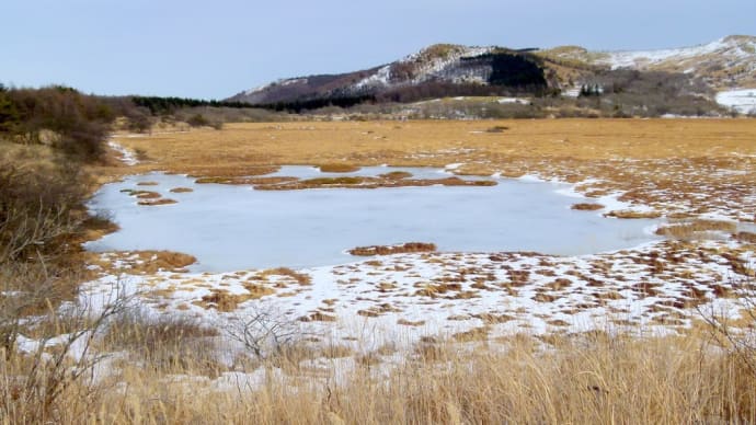 2月・・・暖冬・・・霧ヶ峰・・・八島ヶ原湿原・・・雪がない