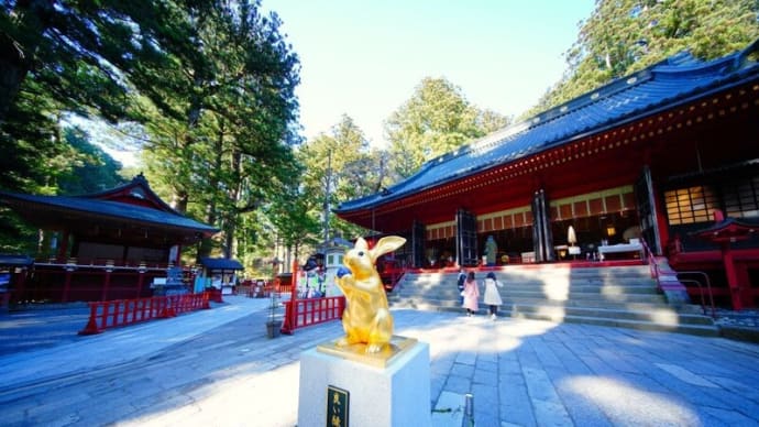 秋の日光へ日帰り旅行 その2(二荒山神社 2024.11.19撮影)