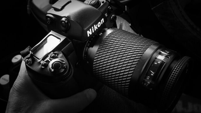 大沼の白鳥。。クラッシックデジタル、Nikon D1H / Tokina AF 630
