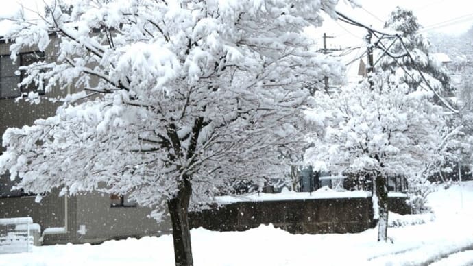 ★雪桜のような冬季五輪だったが
