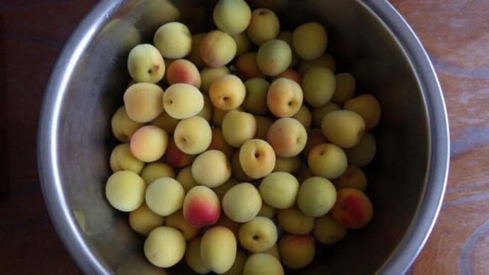 梅 そして 塩 の季節
