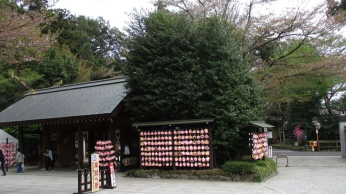 櫻木神社へ行ってきました🌸