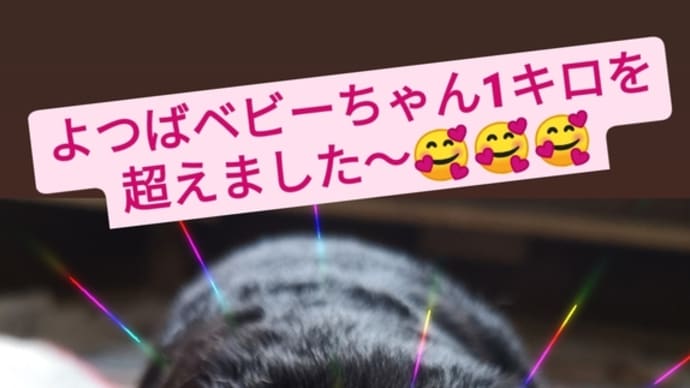 元気に成長し中〜🥰🥰🥰