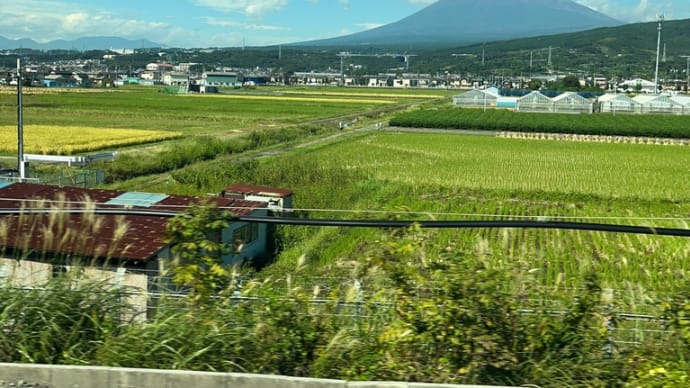 家事か地獄か