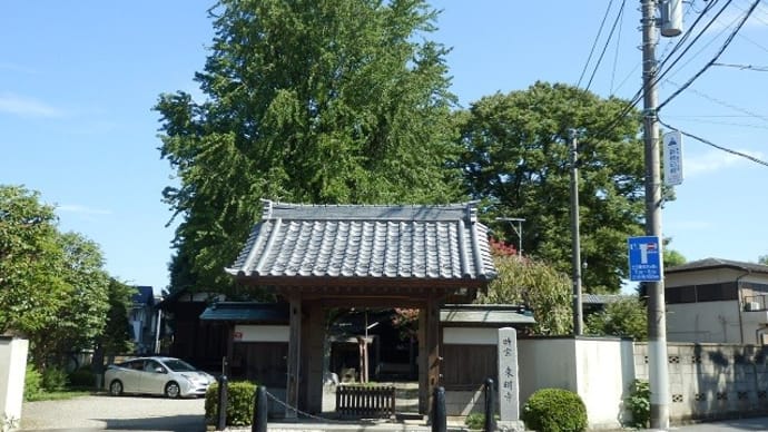 銀杏の 大軍囲む 夜戦の碑(東明寺・川越夜戦跡)