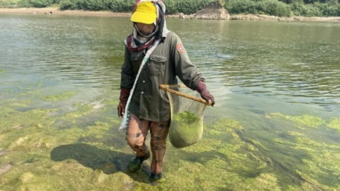 アングル：メコン川上流に中国ダム、追いつめられるタイの漁村