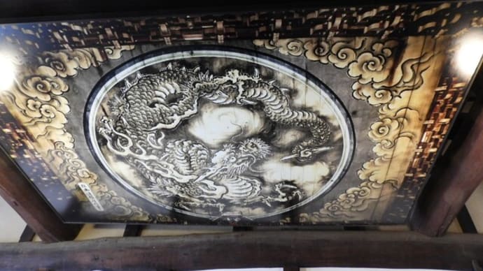辰年の龍巡り『雲龍図』妙心寺