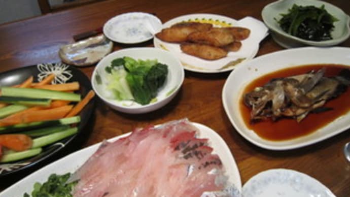 春を告げる魚