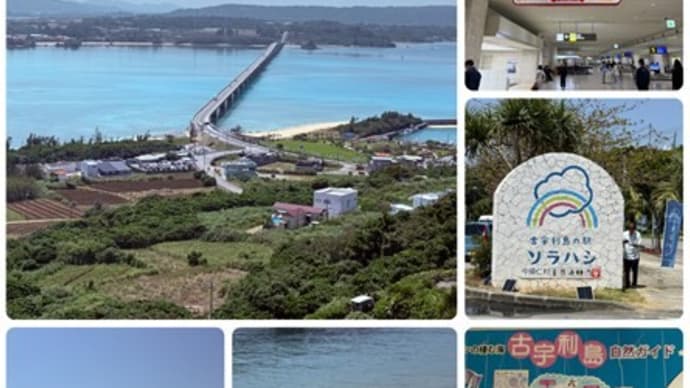 四十数年ぶりの沖縄