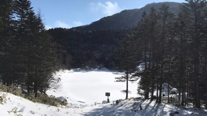 【積雪情報】双子池周辺の積雪情報 (2024.2.4)