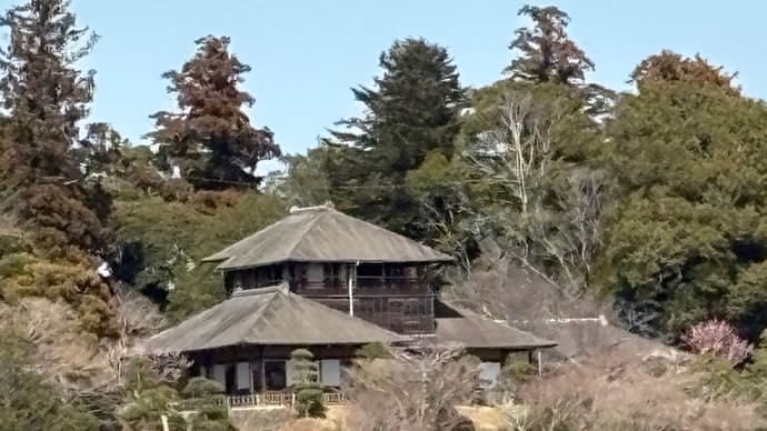 花・好文亭と梅