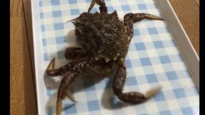 20200229 夕餉にカニ汁