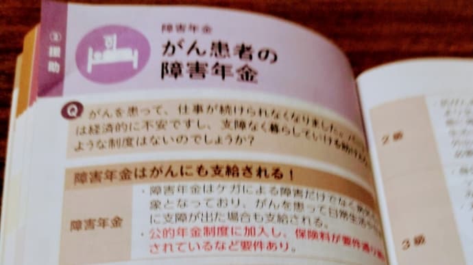 障害年金(社会保障)