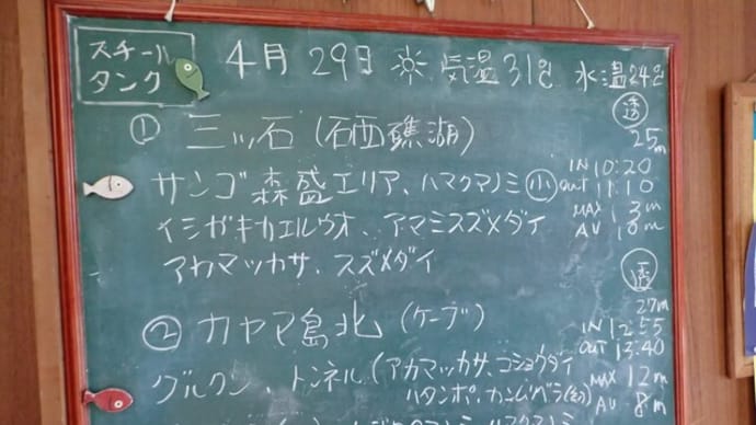 20220429ダイビングログ