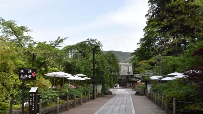 長谷寺 番傘と牡丹の背後の山々 10