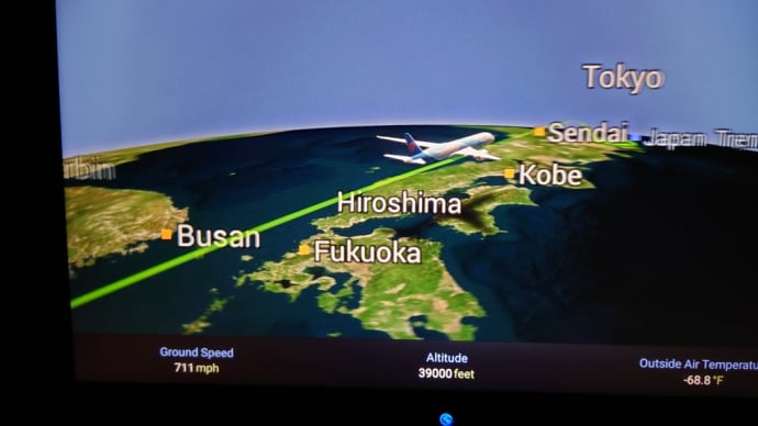 南島を走る_7