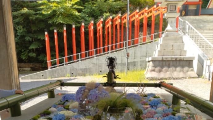小樽住吉神社の花手水（2023年７月後期）