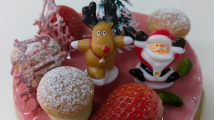 ⑧クリスマス🎄サンタとラズベリー🎅