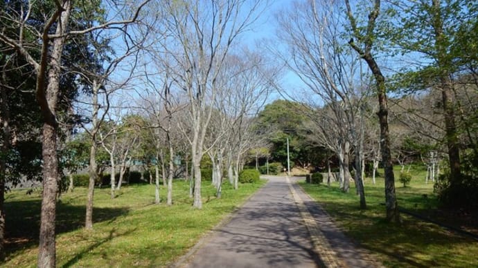 春はウグイス、光明池遊歩道　