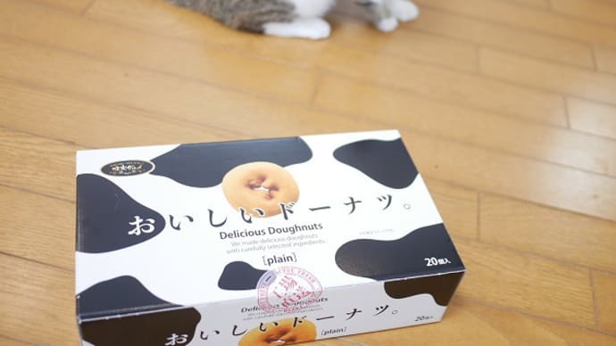 6月コストコでお買い物