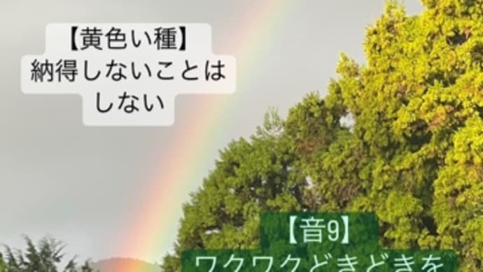 〜マヤ暦K153 赤い空歩く人・黄色い種・音10〜 おろし庵の夜 〜裕美さんのお別れ会〜