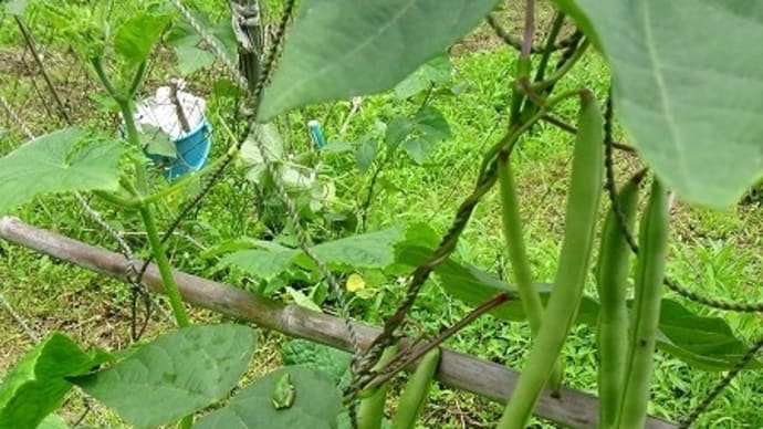 気持ち
