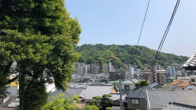 今日の歩き