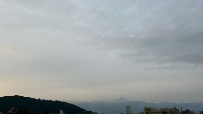 遊ぶ・・・