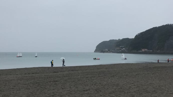 雨と海とコスモス