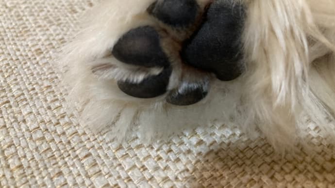 うたた寝💤