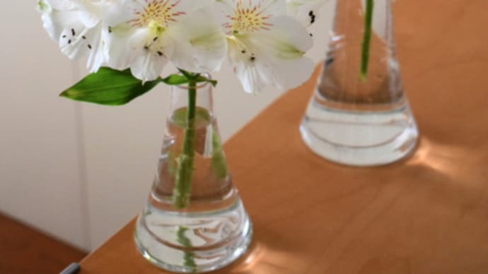 お気に入りのフラワーベースに