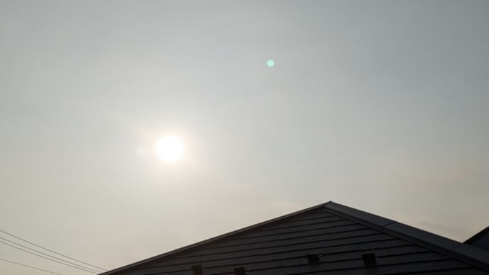 金龍の言葉 夕方から降り始めました