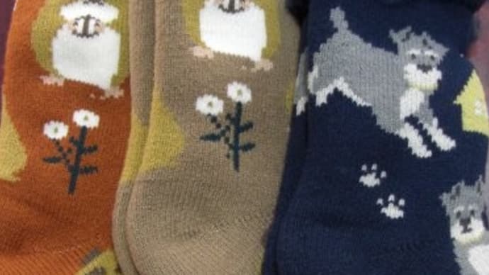 眼科とメンタルクリニックのハシゴ~!疲れたよ!!①(追記あり)