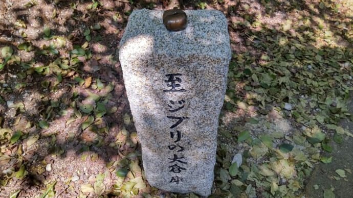 林床花園:トトロの笹包みのお土産