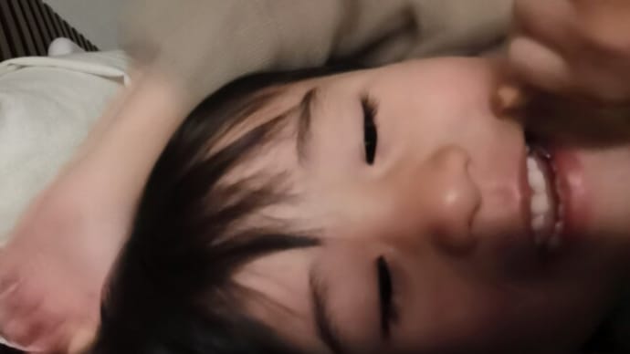 『みらんくんの最近の朝のルーティーン・・・』